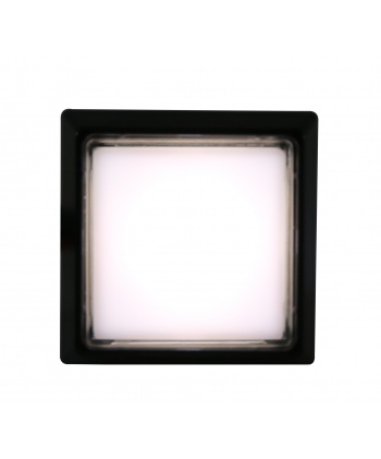 Sanwa luminous white square button with click. illuminated view.