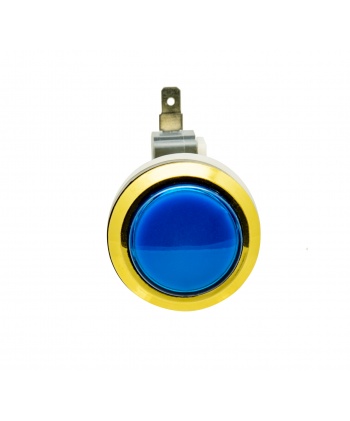 Golden blue button. Front view.