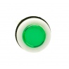 bouton bicolore sur fond blanc