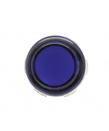 Purple Crown Samducksa button, 24 mm, translucent, front view.